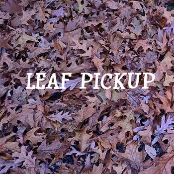 leaf_pickup